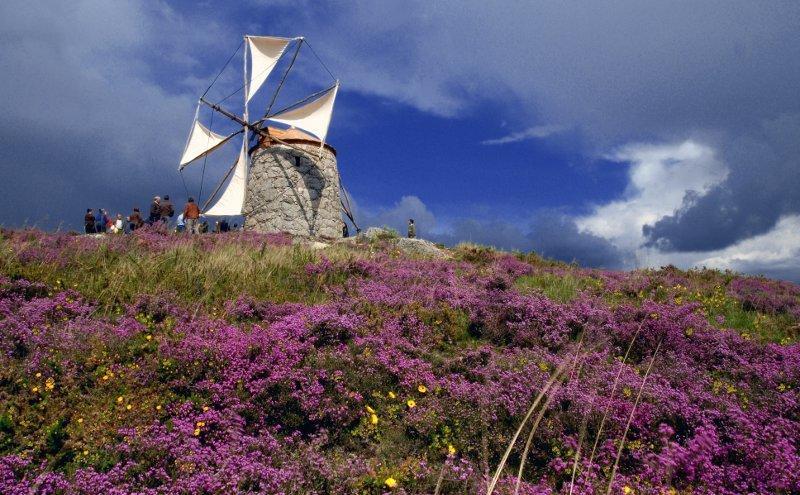 Casa De Campo Sossego Da Lata Fafe Bagian luar foto